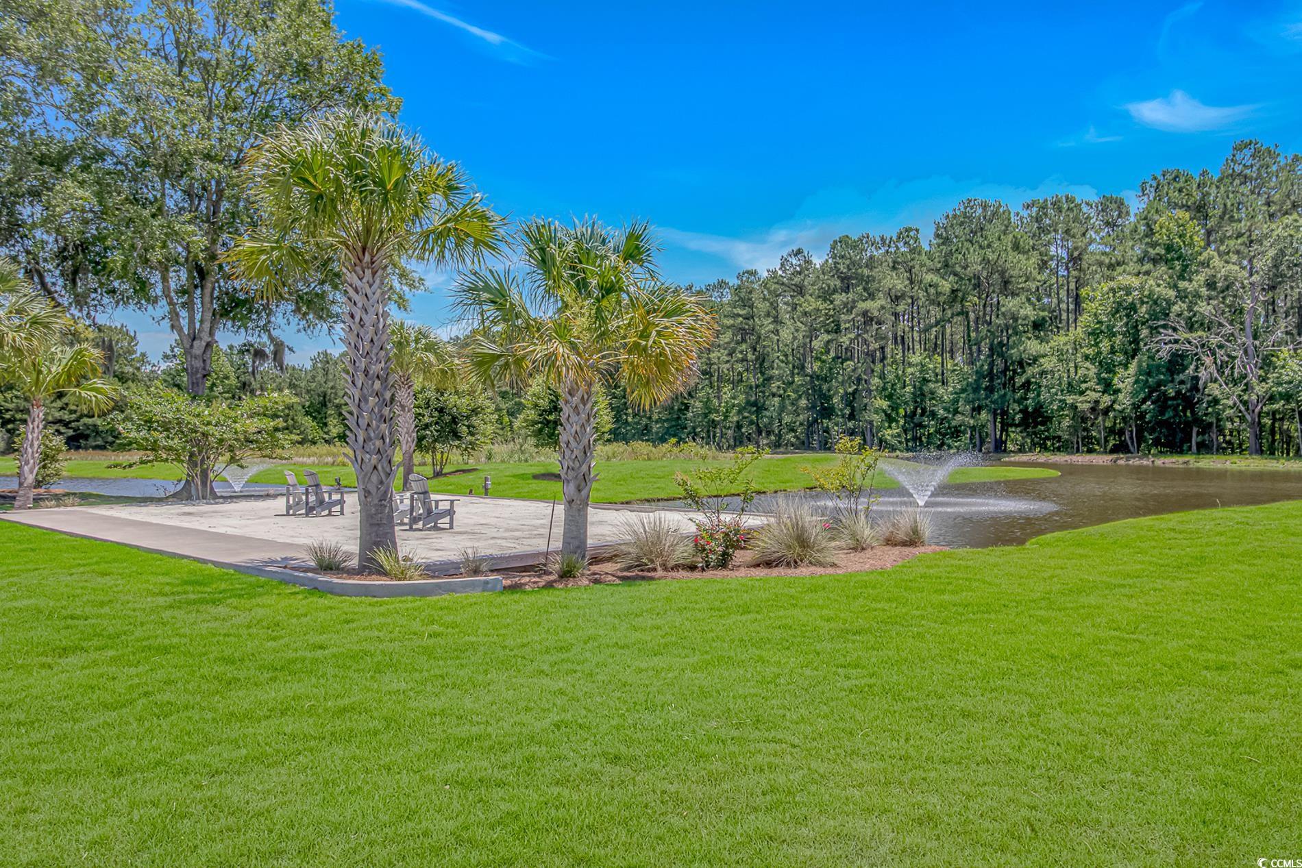 15810 County Line Road Andrews, SC 29510 - Photo 32 of 35 View of grassy yard