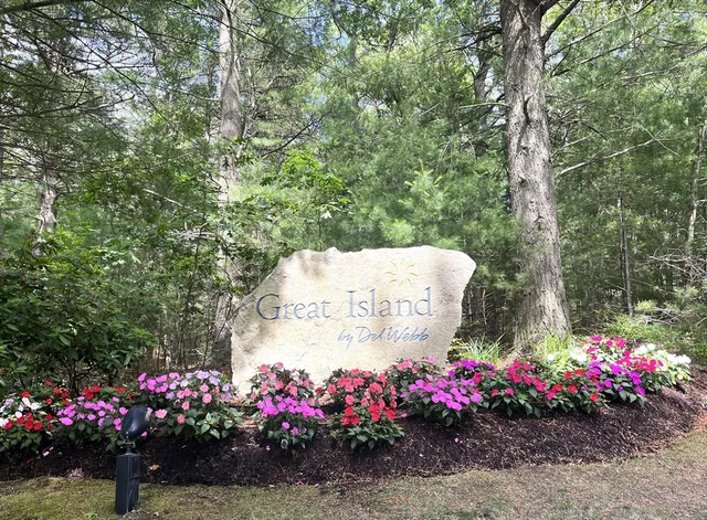 a view of a flowers in front of flowers