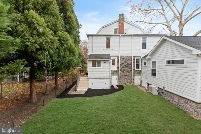 a view of a backyard with plants and large trees