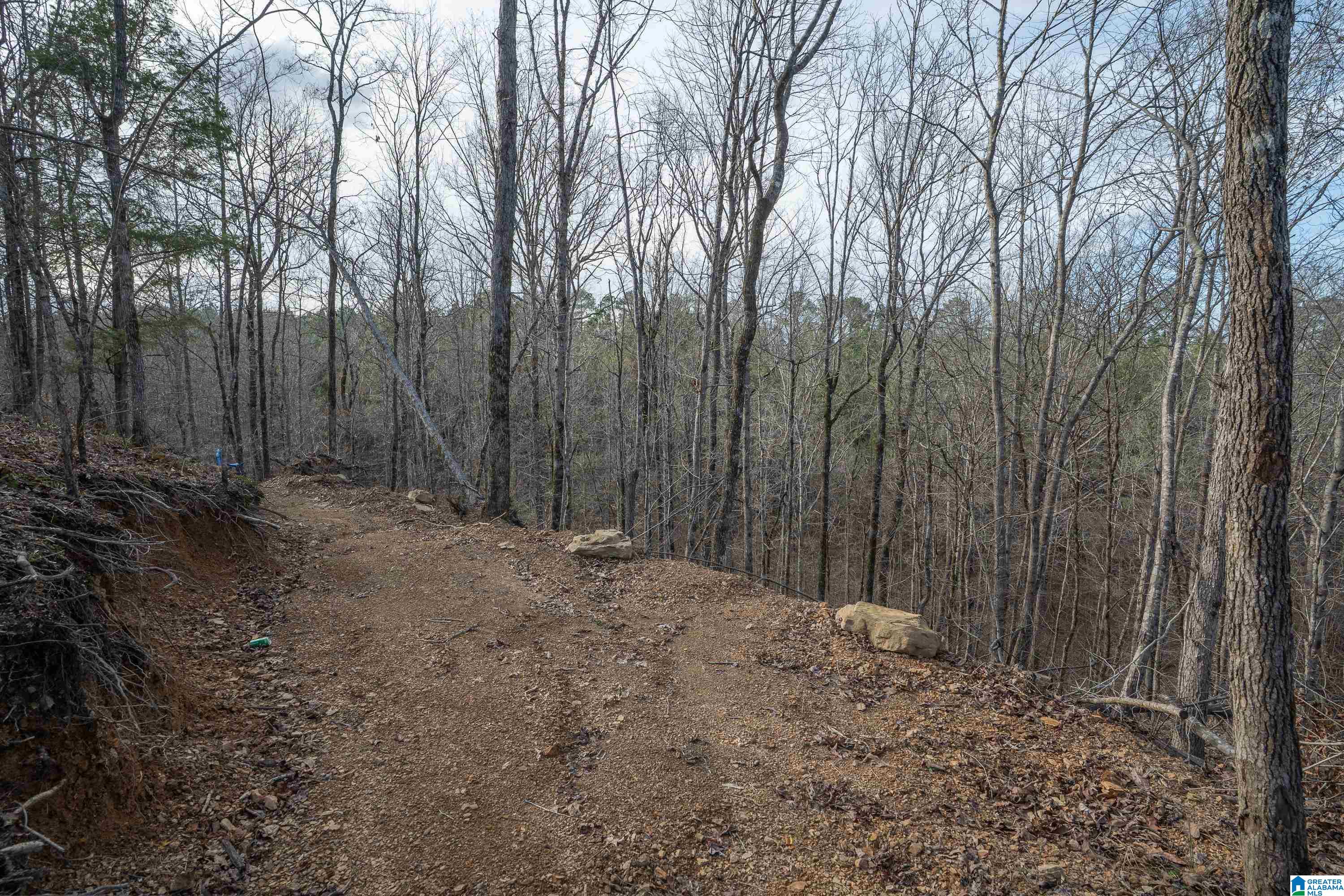 1321 Red Oak Road Helena, AL 35080 - Photo 12 of 12
