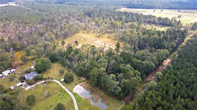 51034 George Road Tickfaw, LA 70466 - Photo 5 of 12