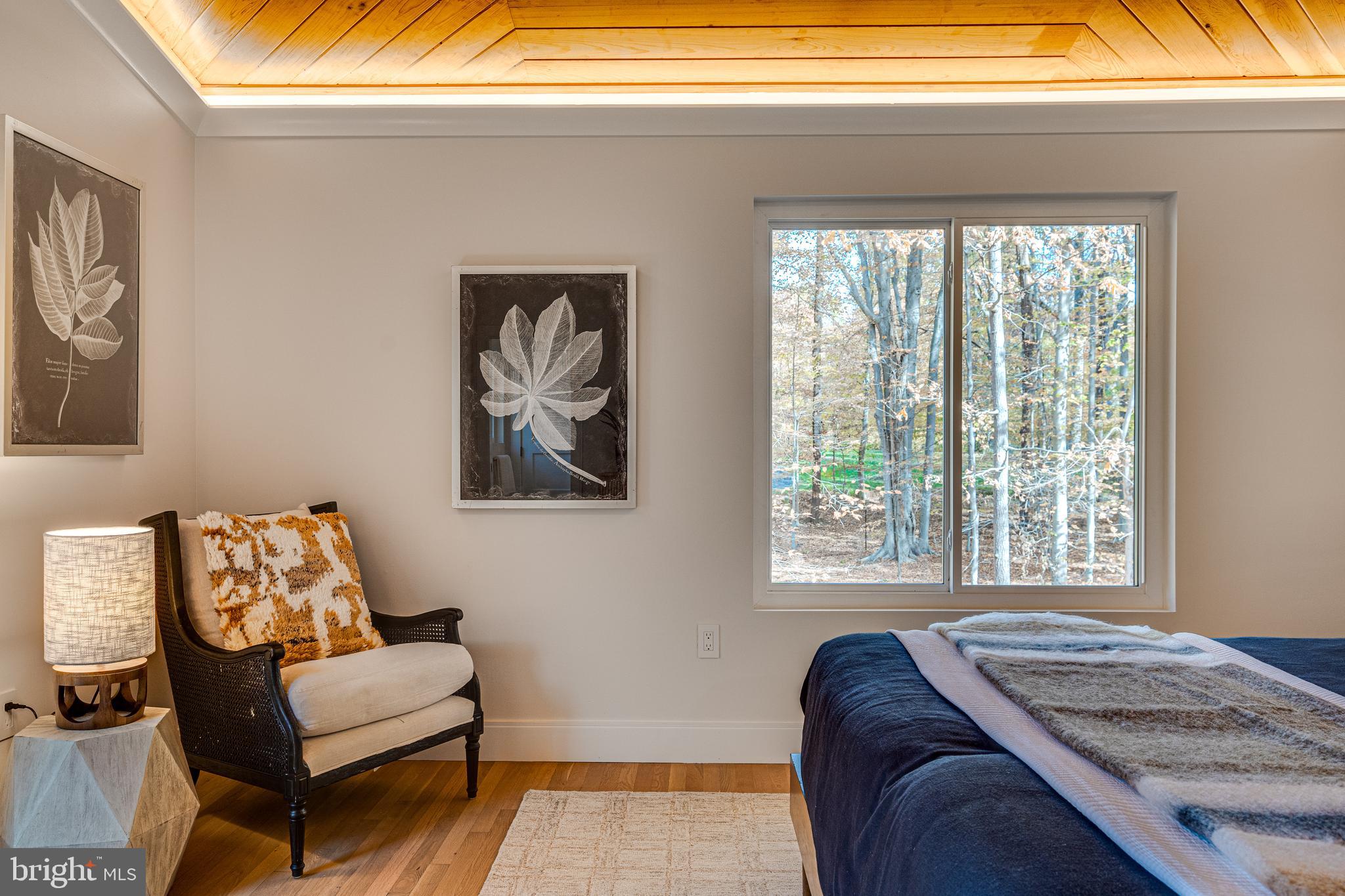 108 Interpromontory Road Great Falls, VA 22066 - Photo 44 of 93 a bedroom with a bed and a couch