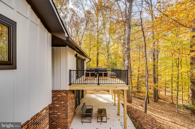 a street sign under a large tree