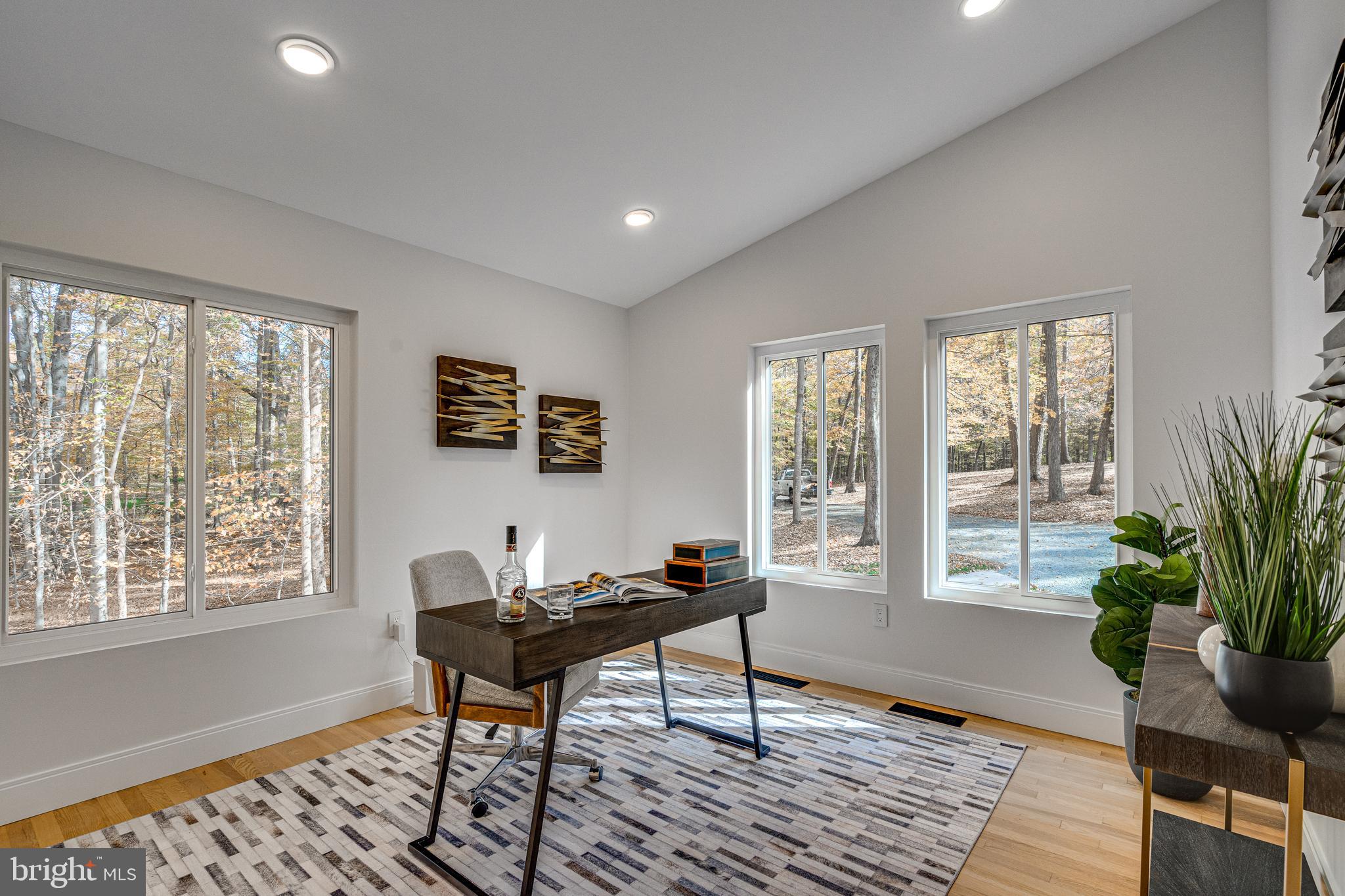 108 Interpromontory Road Great Falls, VA 22066 - Photo 53 of 93 a living room with furniture and a potted plant