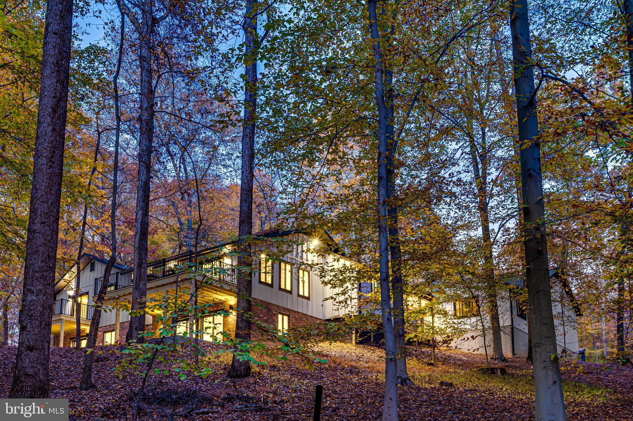 108 Interpromontory Road Great Falls, VA 22066 - Photo 91 of 93 a street sign under a large tree
