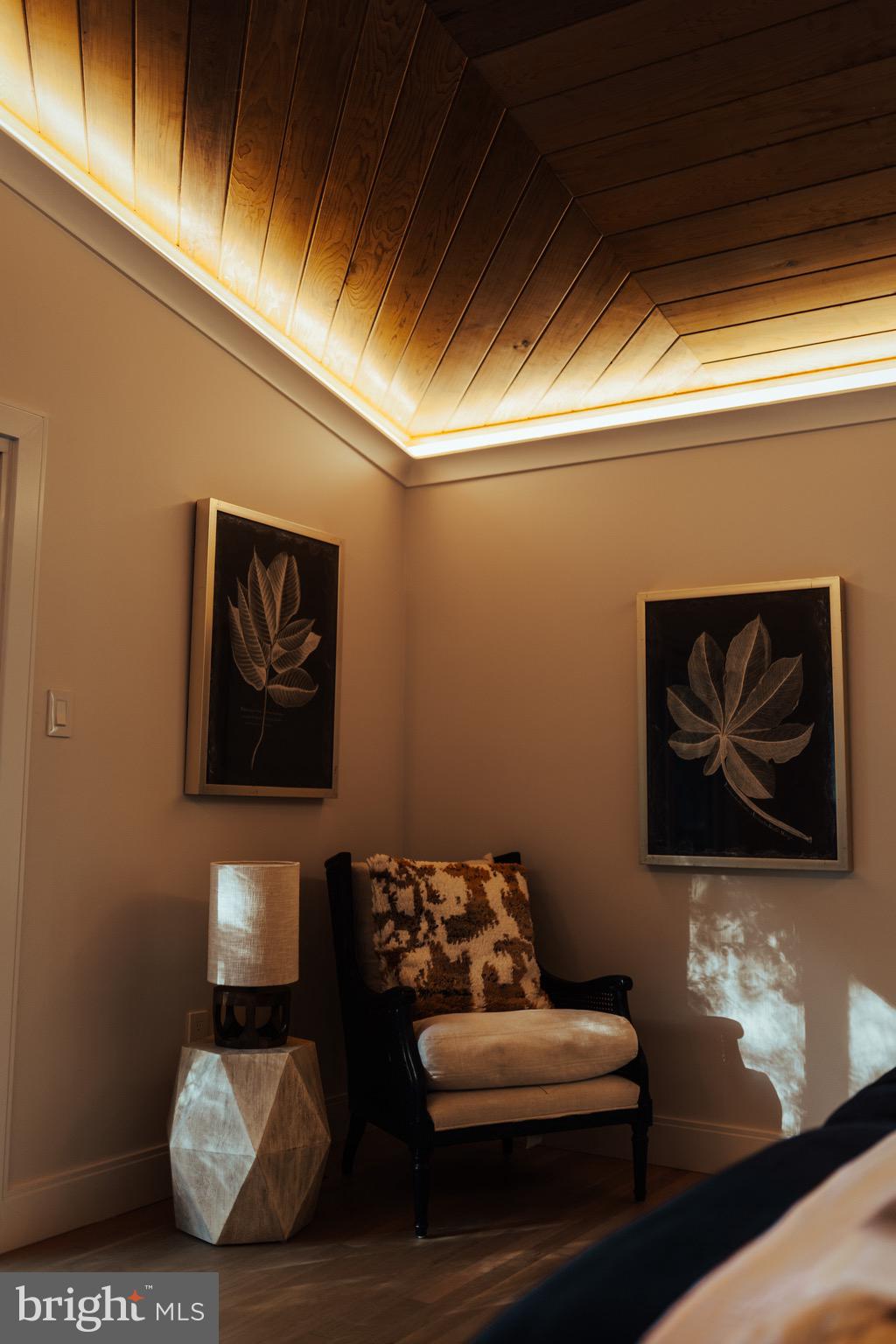 108 Interpromontory Road Great Falls, VA 22066 - Photo 10 of 108 Etherial details