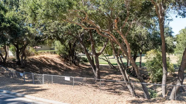a view of a yard with plants and trees