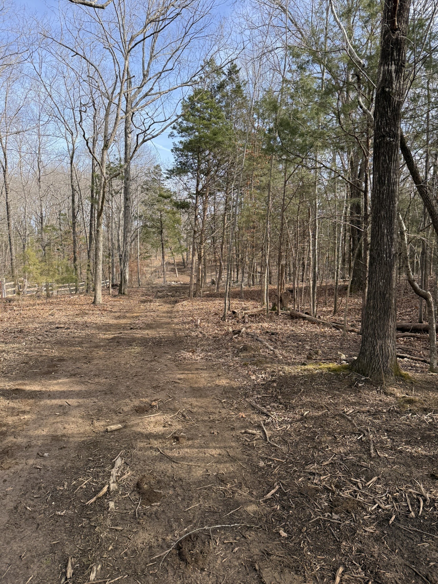 4492 Murray-Kittrell Road Readyville, TN 37149 - Photo 11 of 11 a backyard of trees