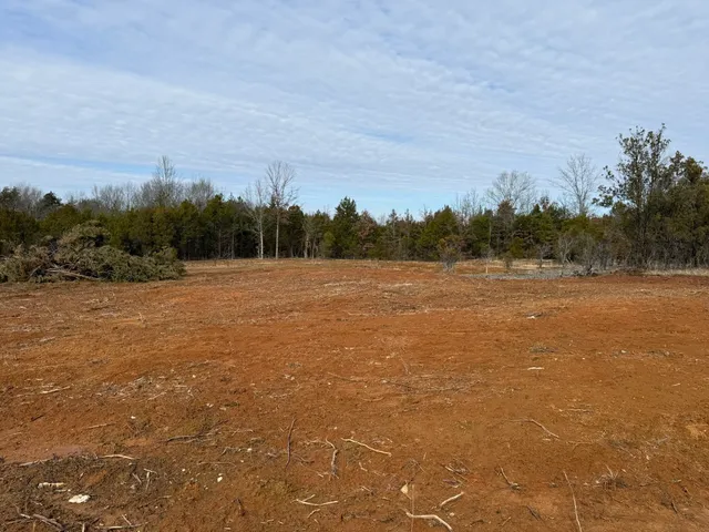 a view of a field with trees in the background