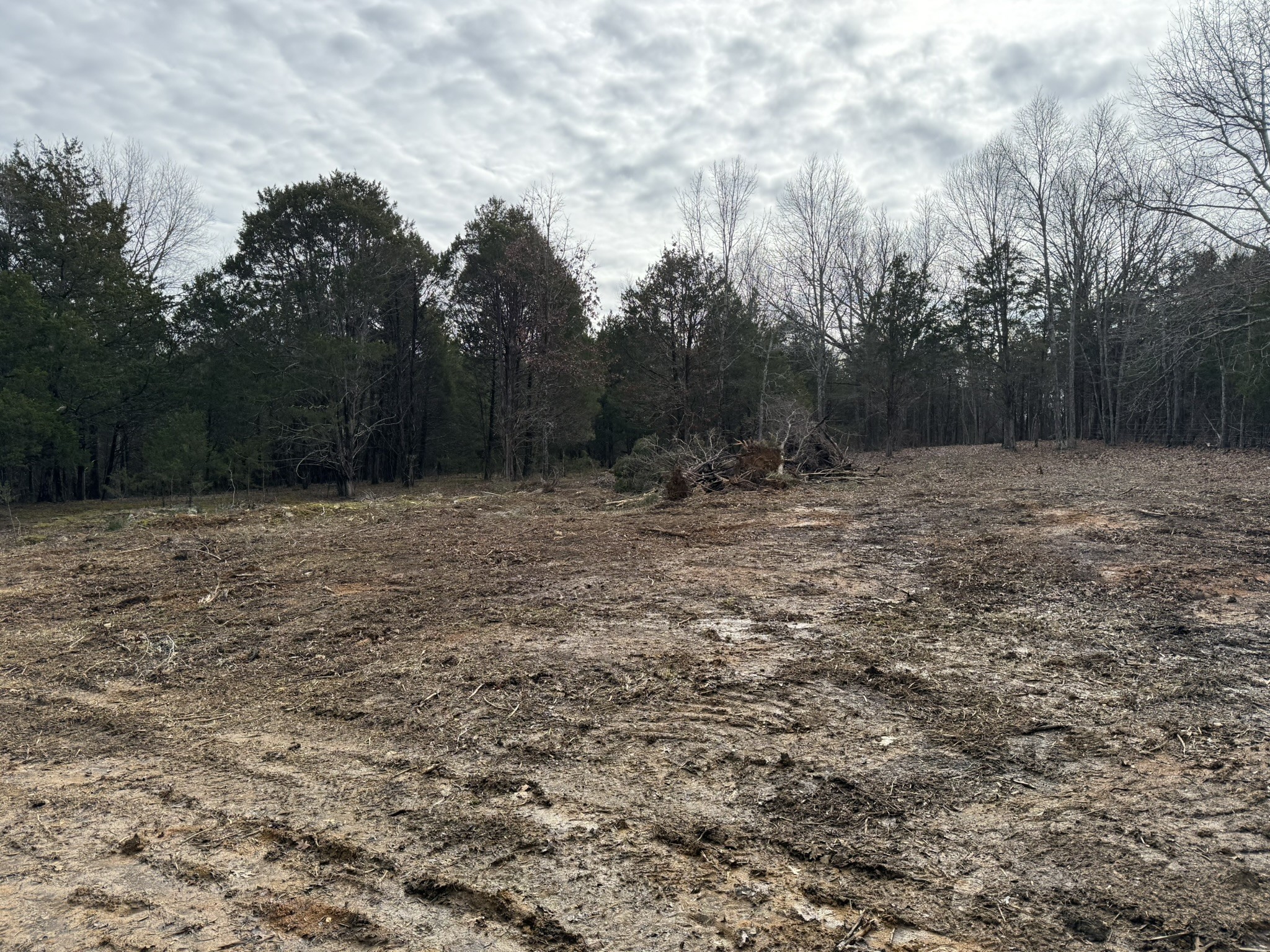 4492 Murray-Kittrell Road Readyville, TN 37149 - Photo 6 of 11 a view of outdoor space with trees