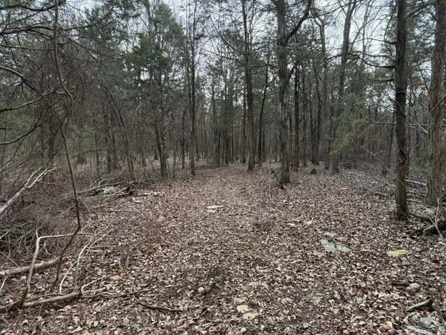 a view of outdoor space with green space
