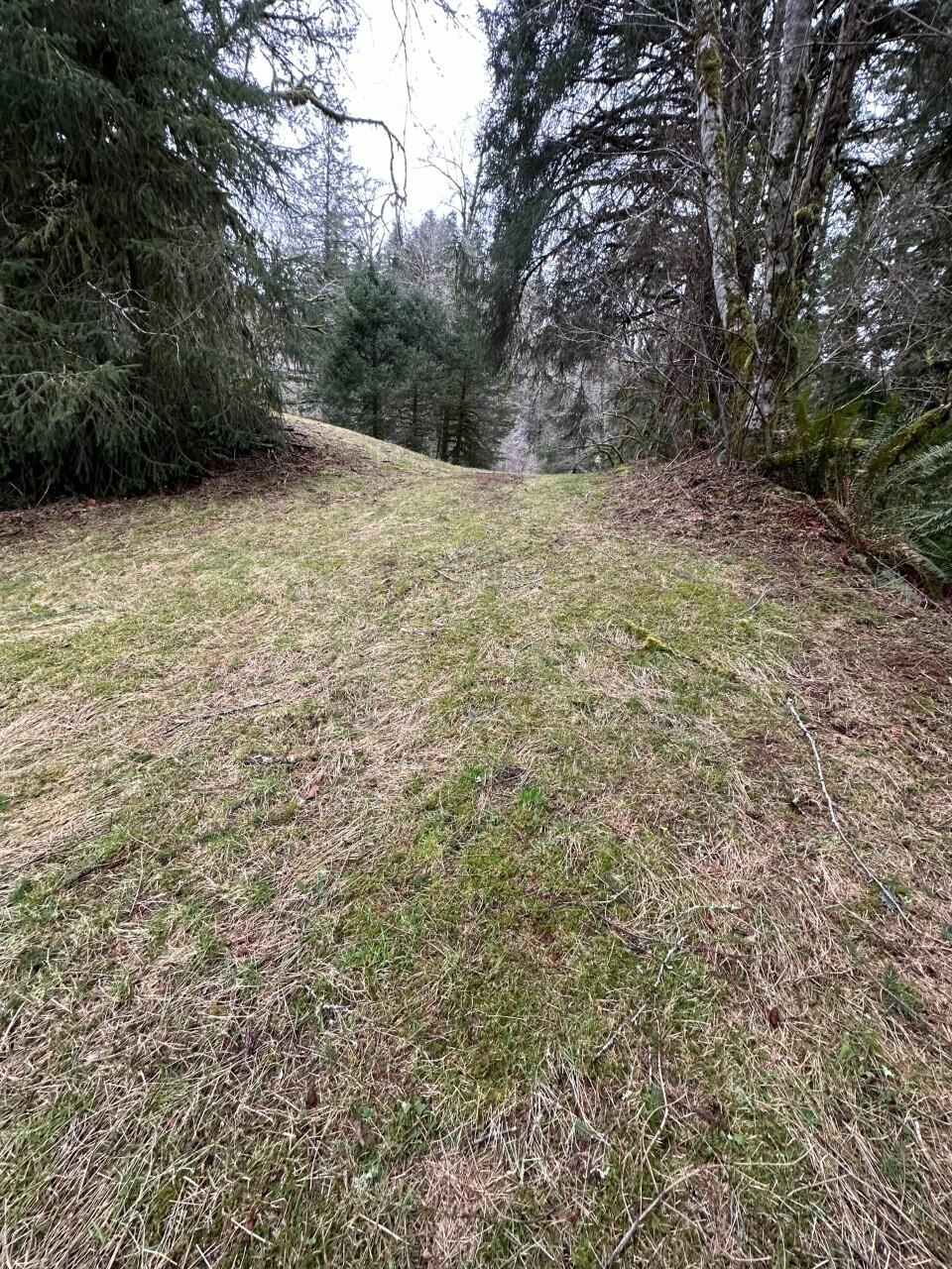 11-12 Big Trout Road Grand Ronde, OR 97347 - Photo 6 of 17 pic6_IMG_0811