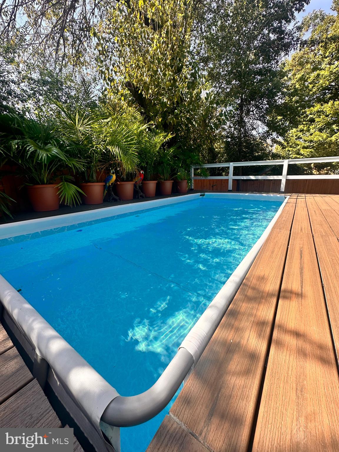 13304 Hathaway Drive Silver Spring, MD 20906 - Photo 45 of 59 a view of swimming pool with a back yard