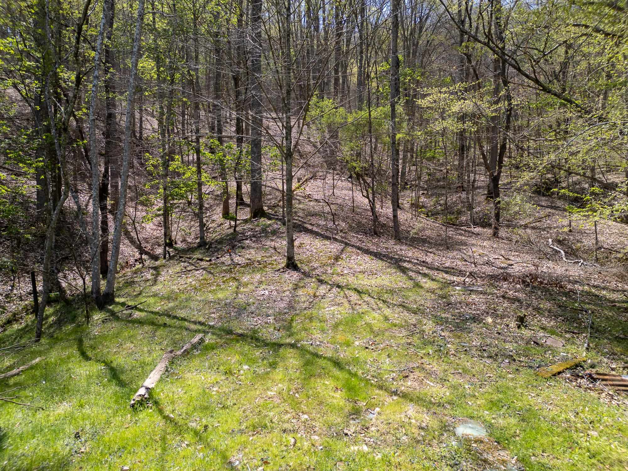 0 Route 3 Mahone Creek Road Genoa, WV 25517 - Photo 13 of 17 Gallery Image 13