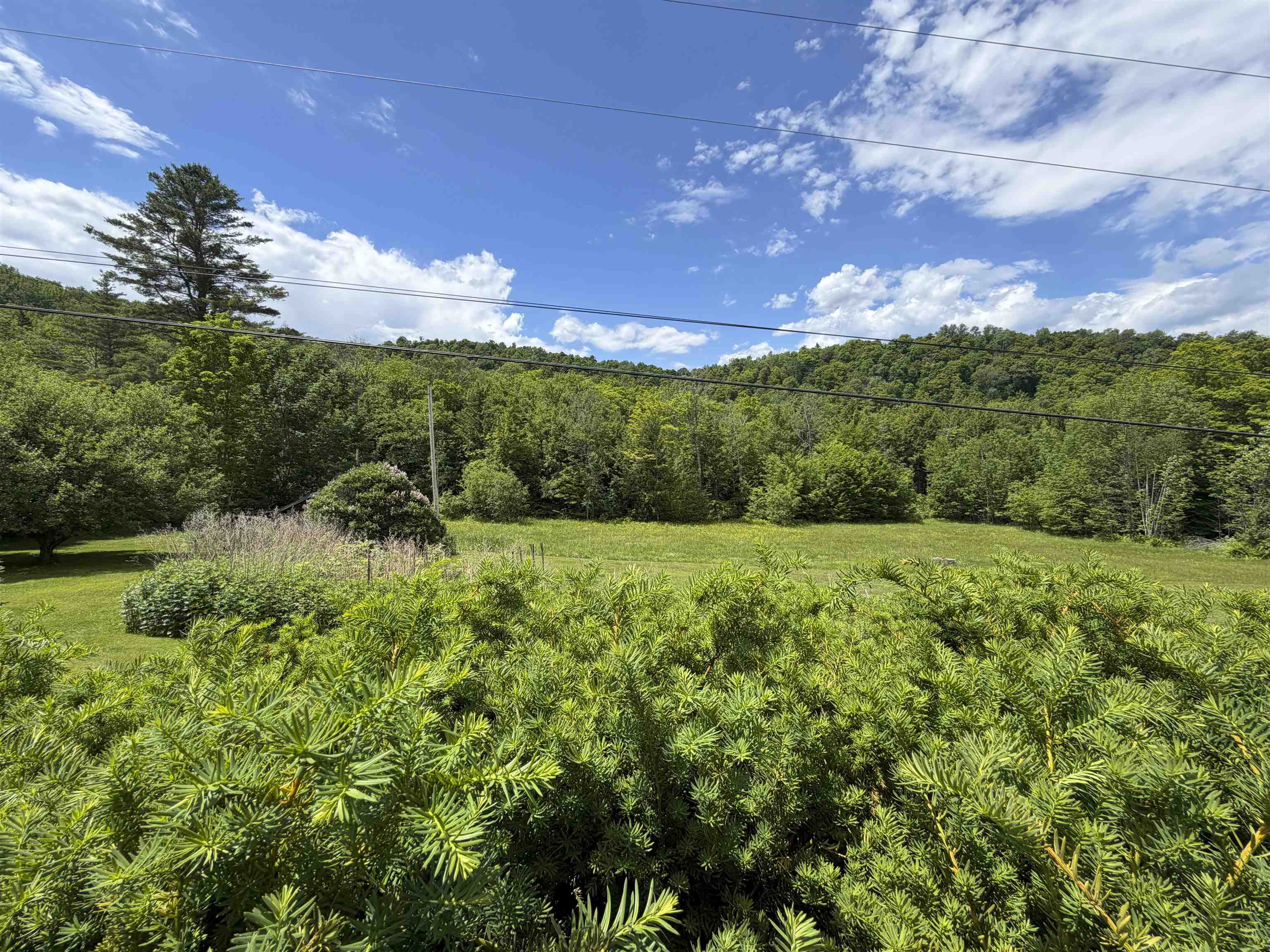 1110 Parker Road Vershire, VT 05079 - Photo 4 of 13