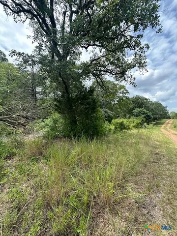 a view of outdoor space and trees