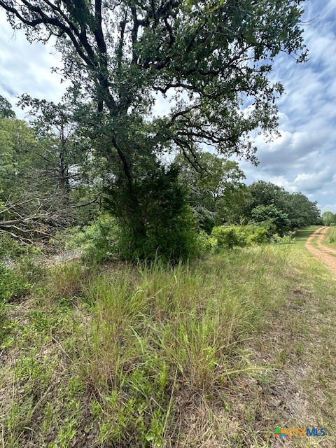0 Tbd Bastrop, TX 78602 - Photo 4 of 7 a view of a lush green space