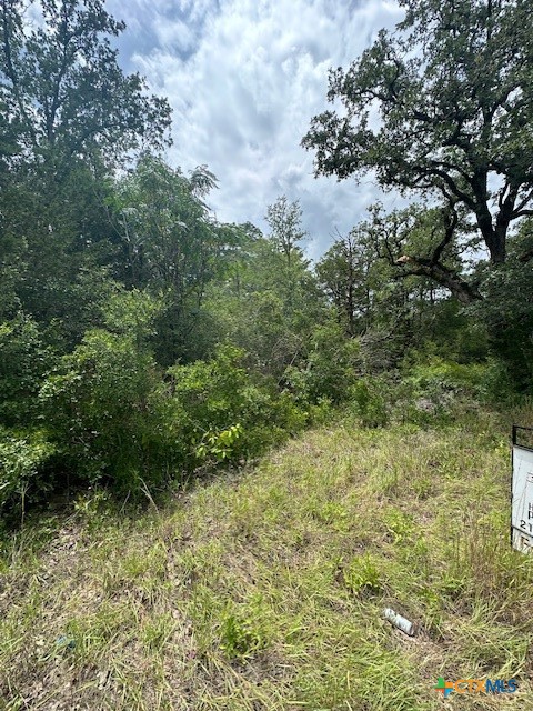 0 Tbd Bastrop, TX 78602 - Photo 6 of 7 a view of a bunch of trees and bushes