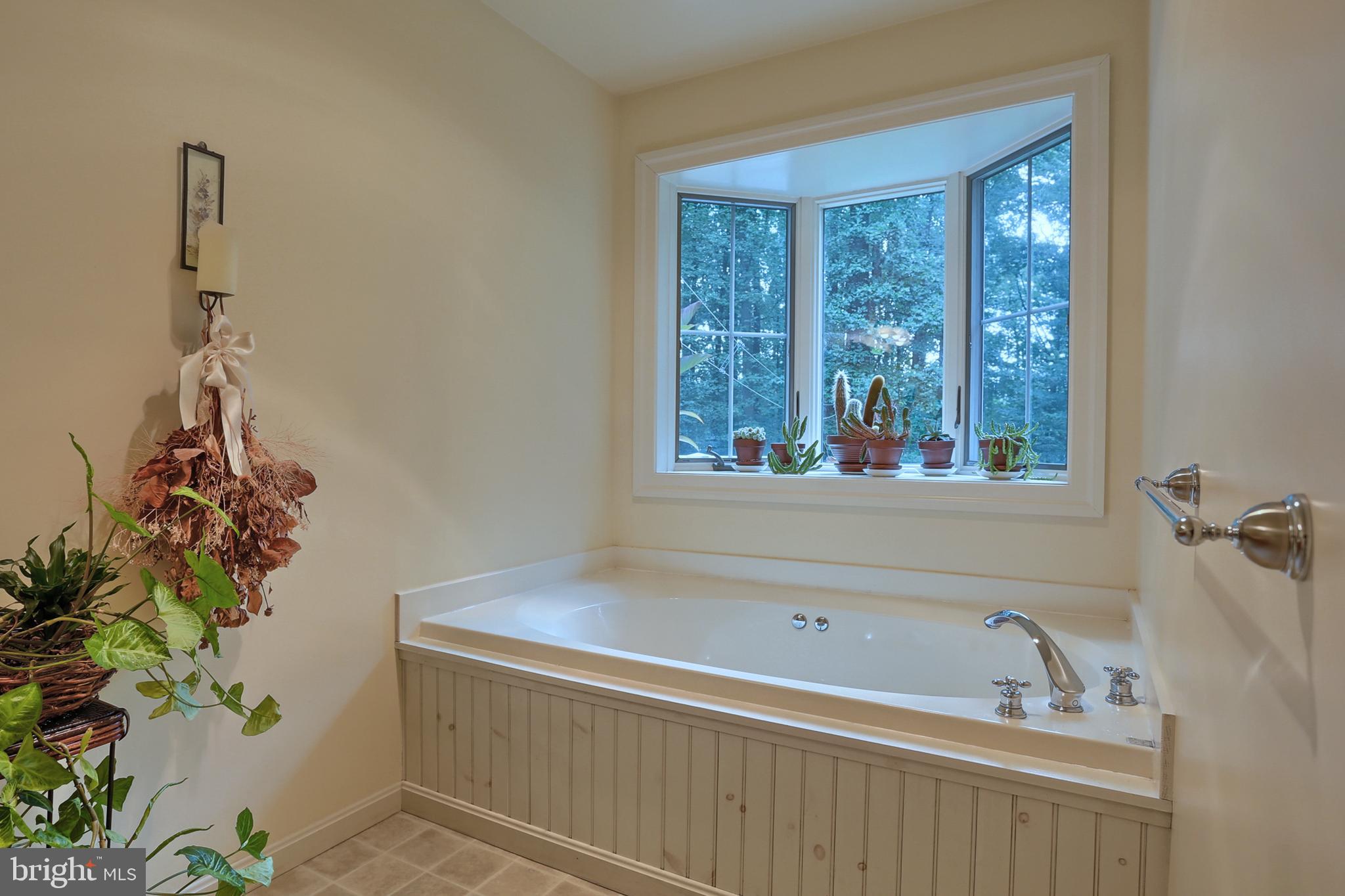 655 Forest Road Denver, PA 17517 - Photo 17 of 66 1st floor master bath