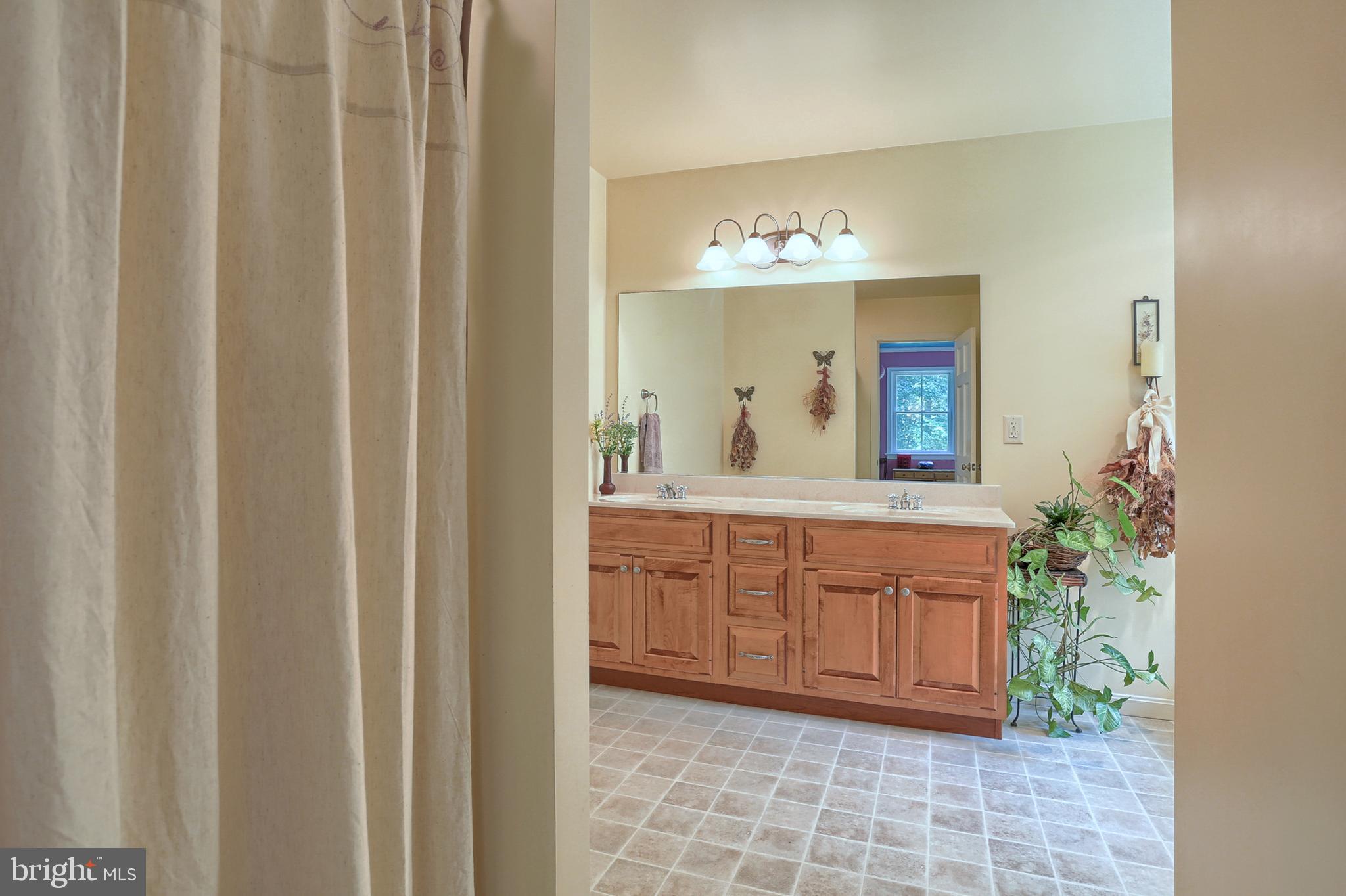655 Forest Road Denver, PA 17517 - Photo 18 of 66 1st floor master bath, double sink, shower stall