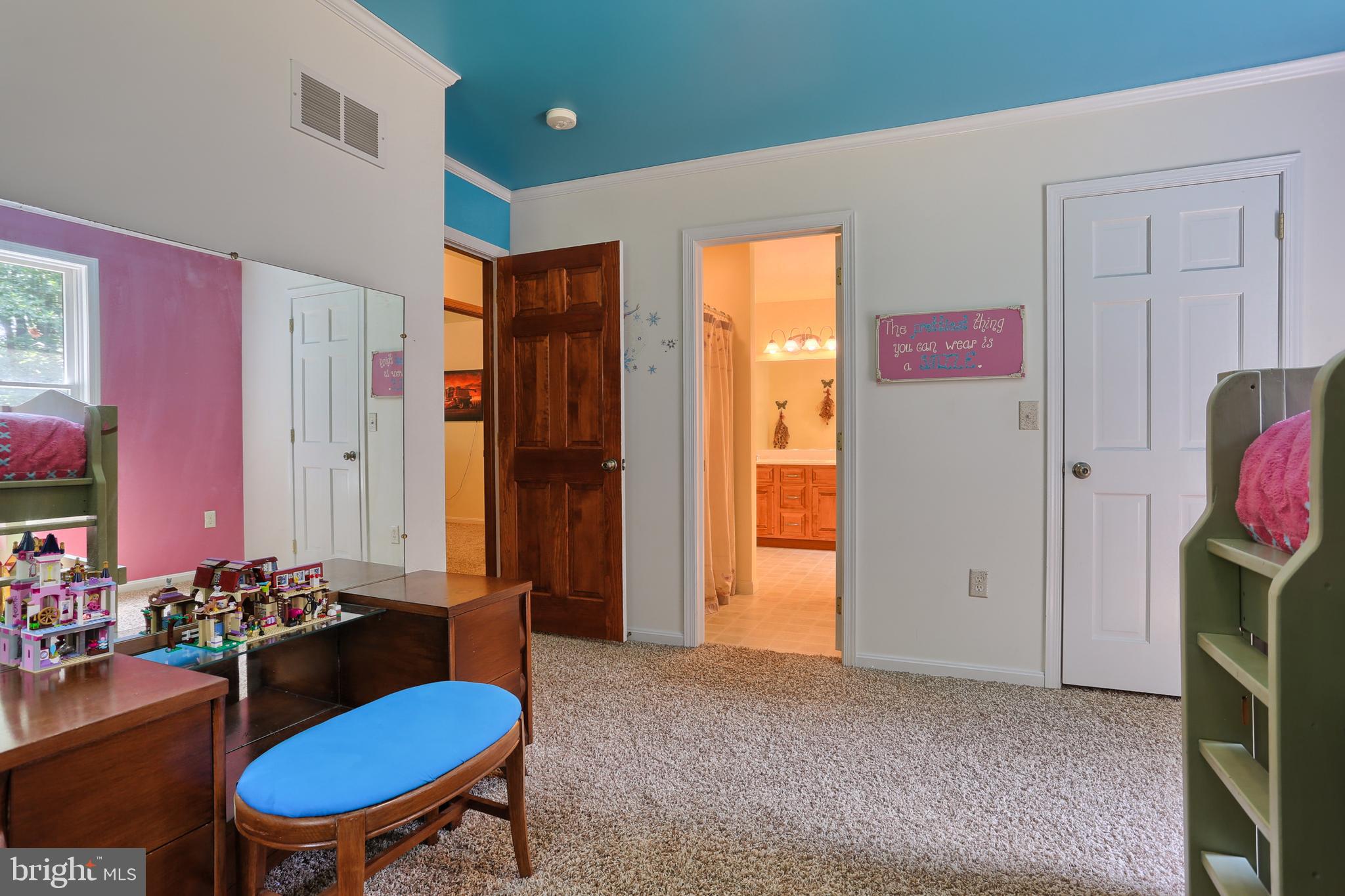 655 Forest Road Denver, PA 17517 - Photo 21 of 66 1st floor master, walk in closet, master bath