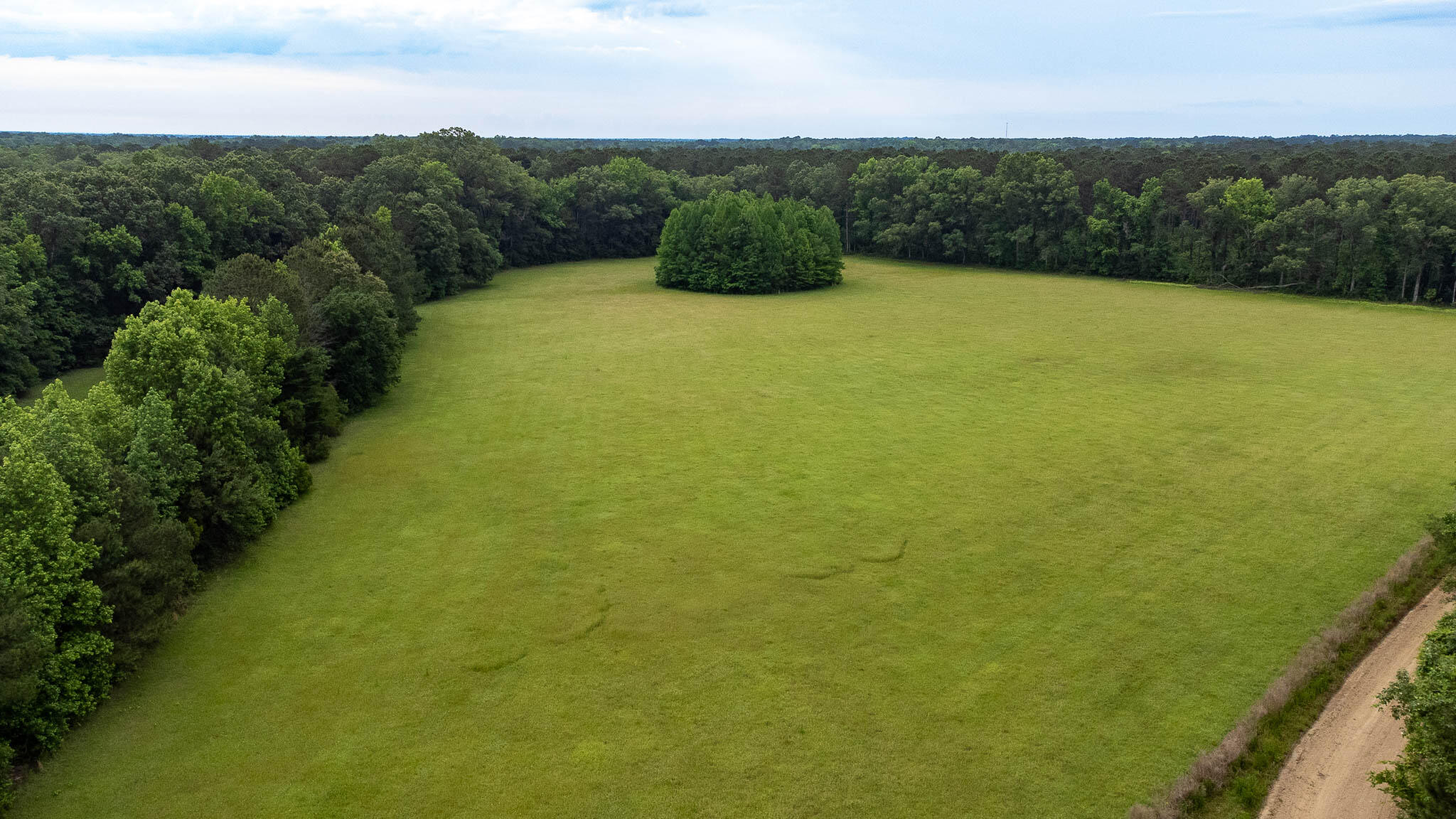 Hayne HallSC Land for Sale-08