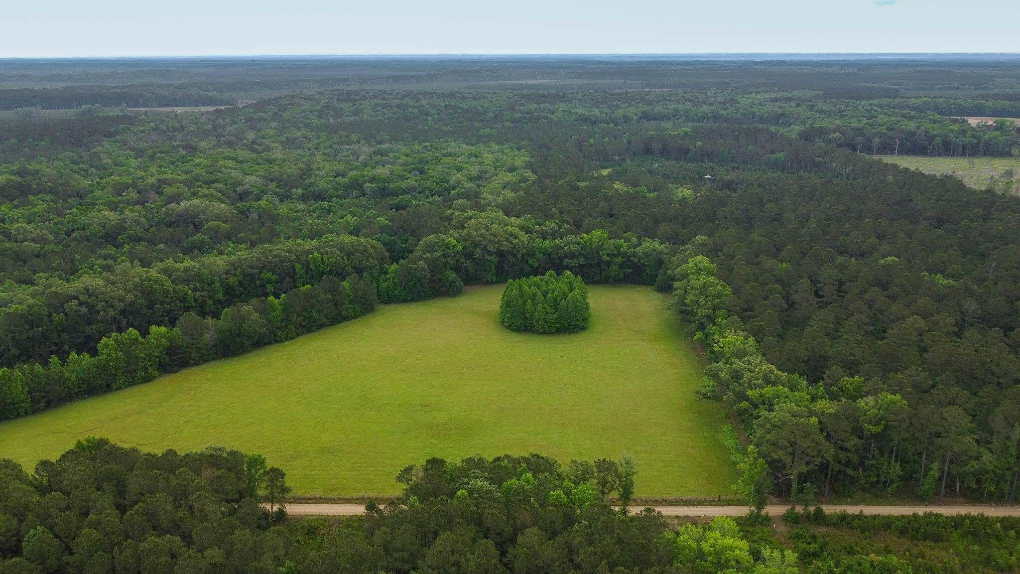 1034 Tuten Road Jacksonboro, SC 29452 - Photo 2 of 77 Hayne HallSC Land for Sale-04