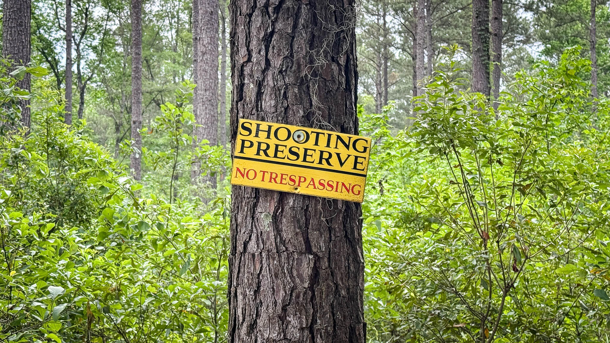 1034 Tuten Road Jacksonboro, SC 29452 - Photo 23 of 77 Hayne HallSC Land for Sale-24