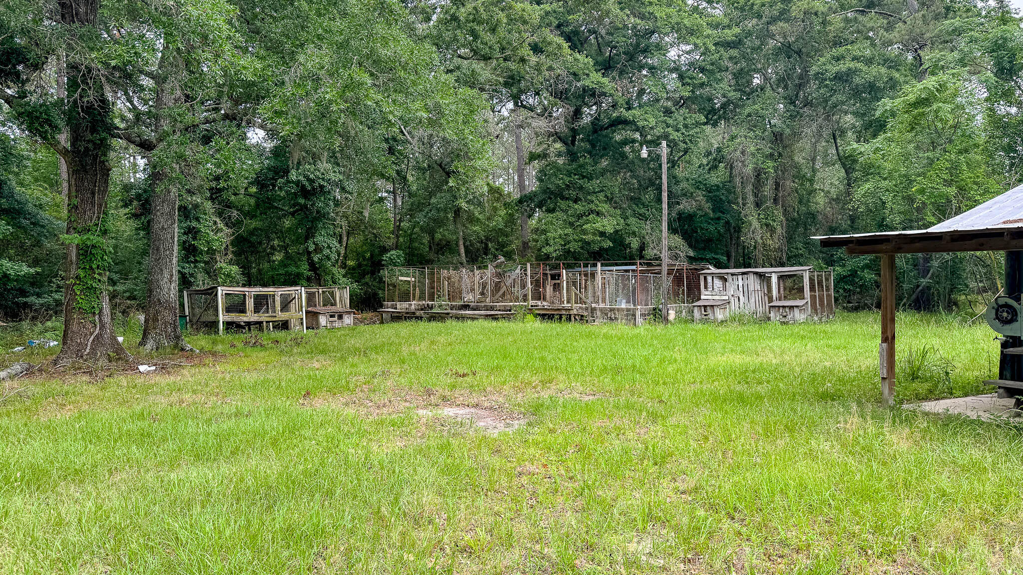 1034 Tuten Road Jacksonboro, SC 29452 - Photo 29 of 77 Hayne HallSC Land for Sale-30