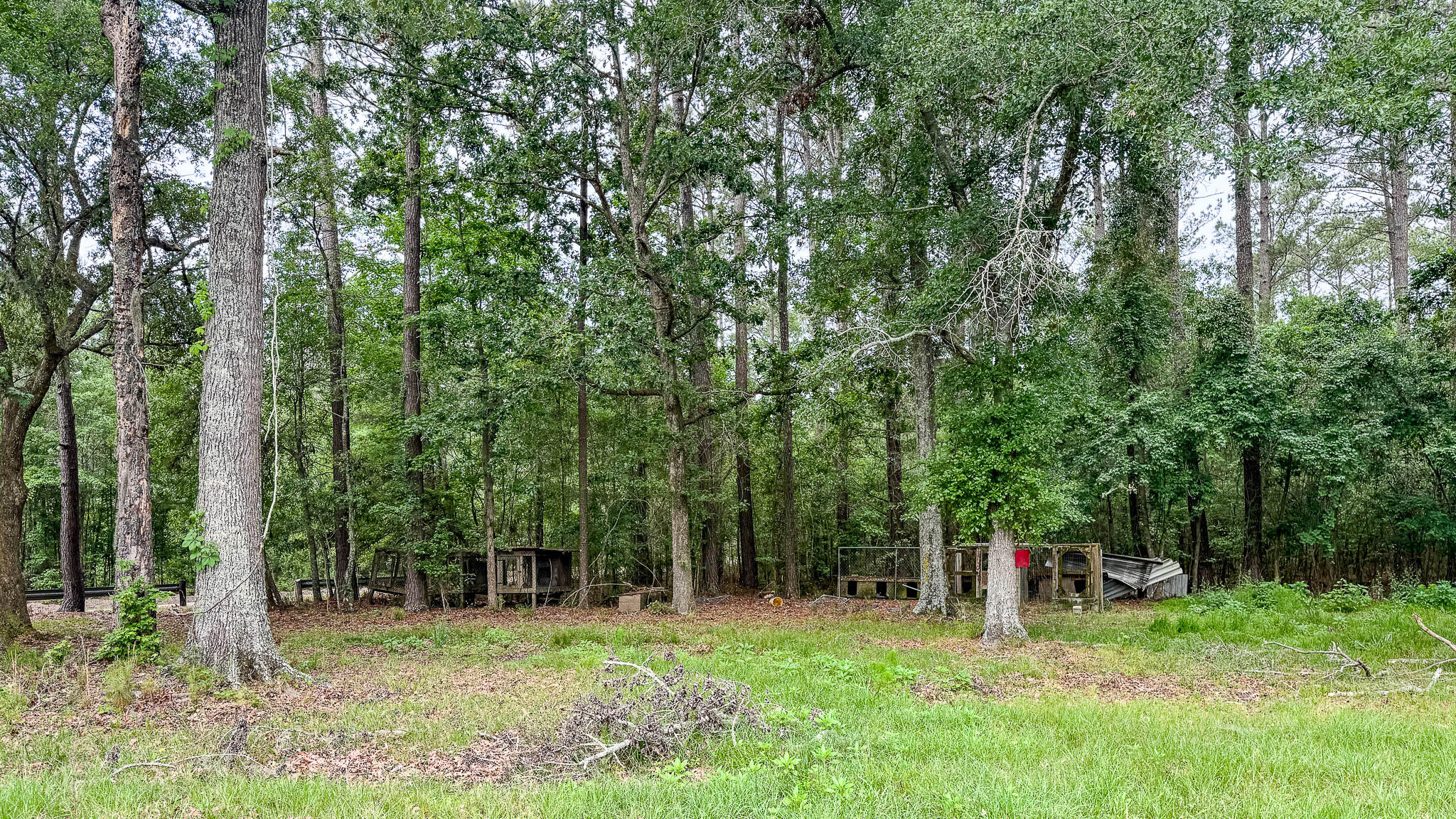 1034 Tuten Road Jacksonboro, SC 29452 - Photo 30 of 77 Hayne HallSC Land for Sale-31