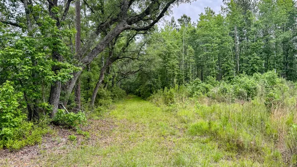 $3,575,000 | 1034 Tuten Road, Jacksonboro, SC 29452