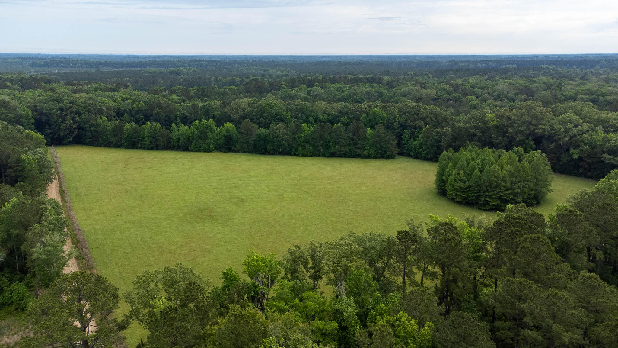 1034 Tuten Road Jacksonboro, SC 29452 - Photo 4 of 77 Hayne HallSC Land for Sale-11