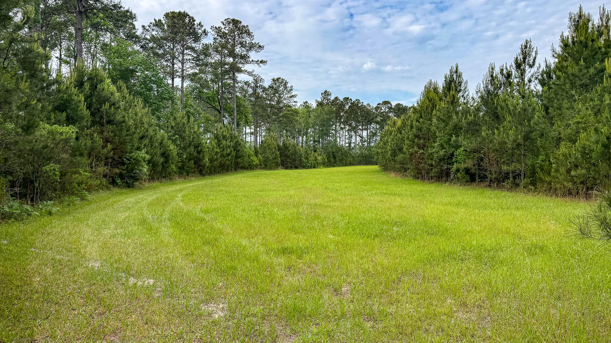 1034 Tuten Road Jacksonboro, SC 29452 - Photo 42 of 77 Hayne HallSC Land for Sale-44