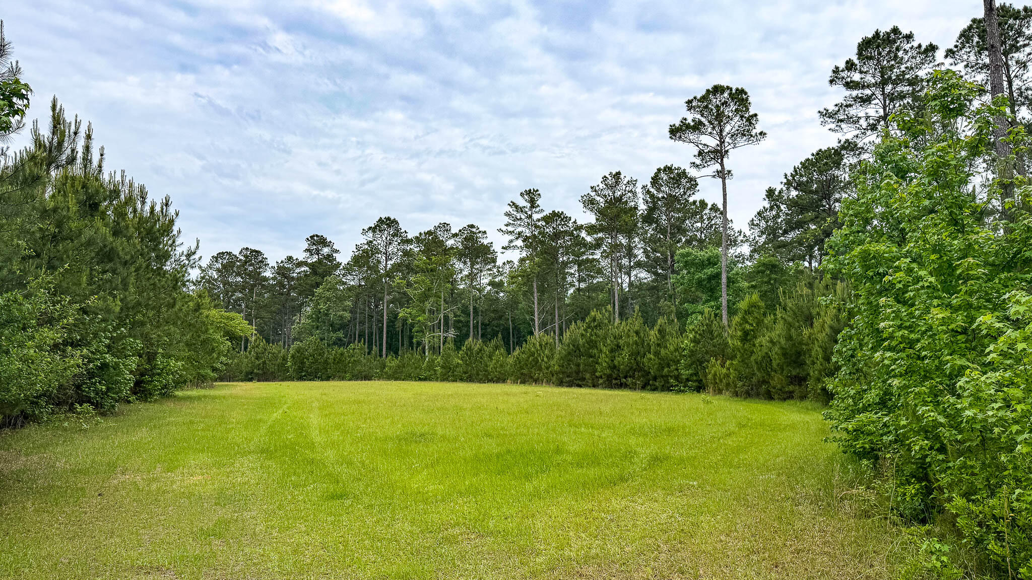1034 Tuten Road Jacksonboro, SC 29452 - Photo 43 of 77 Hayne HallSC Land for Sale-45