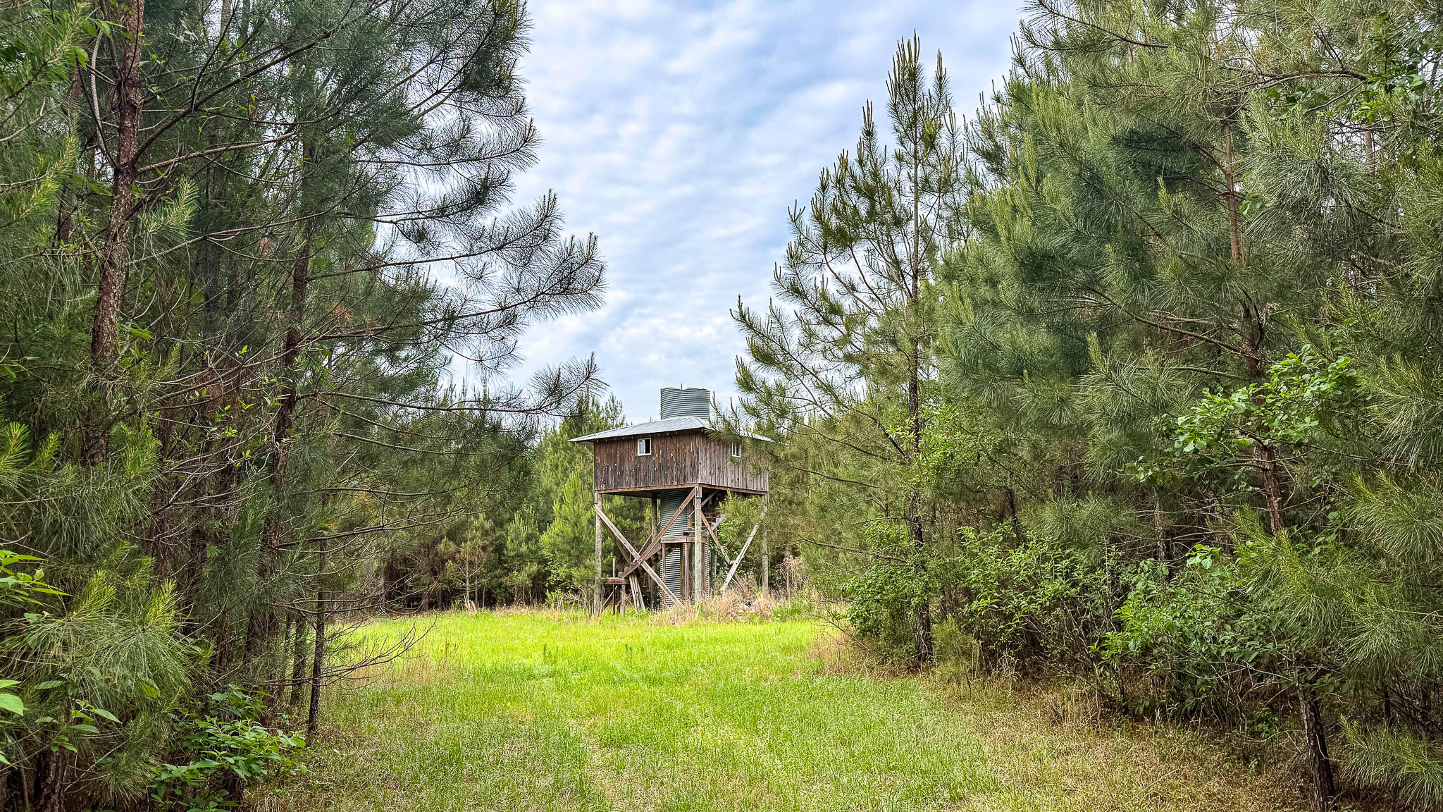 1034 Tuten Road Jacksonboro, SC 29452 - Photo 44 of 77 Hayne HallSC Land for Sale-46