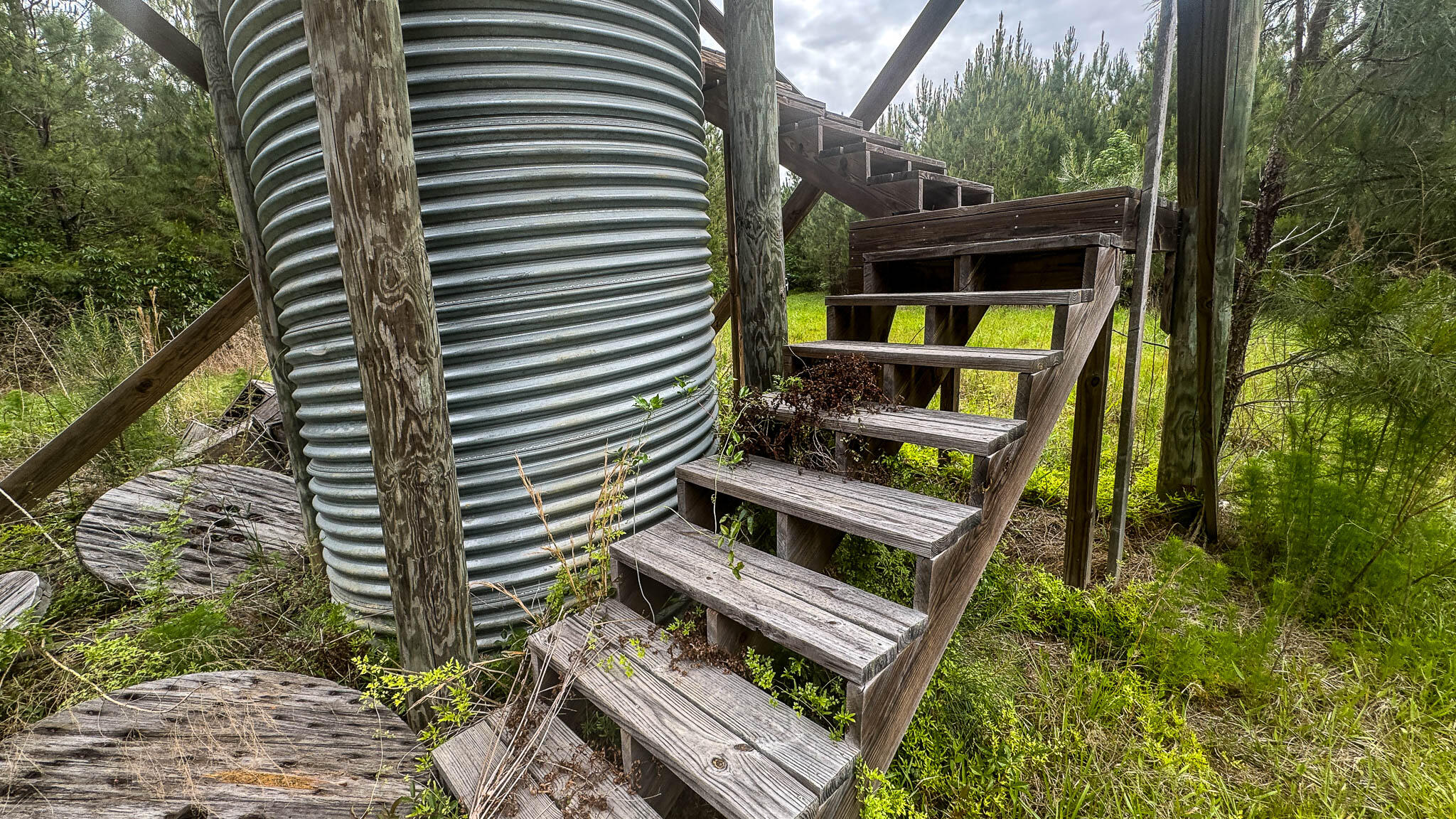 1034 Tuten Road Jacksonboro, SC 29452 - Photo 48 of 77 Hayne HallSC Land for Sale-50