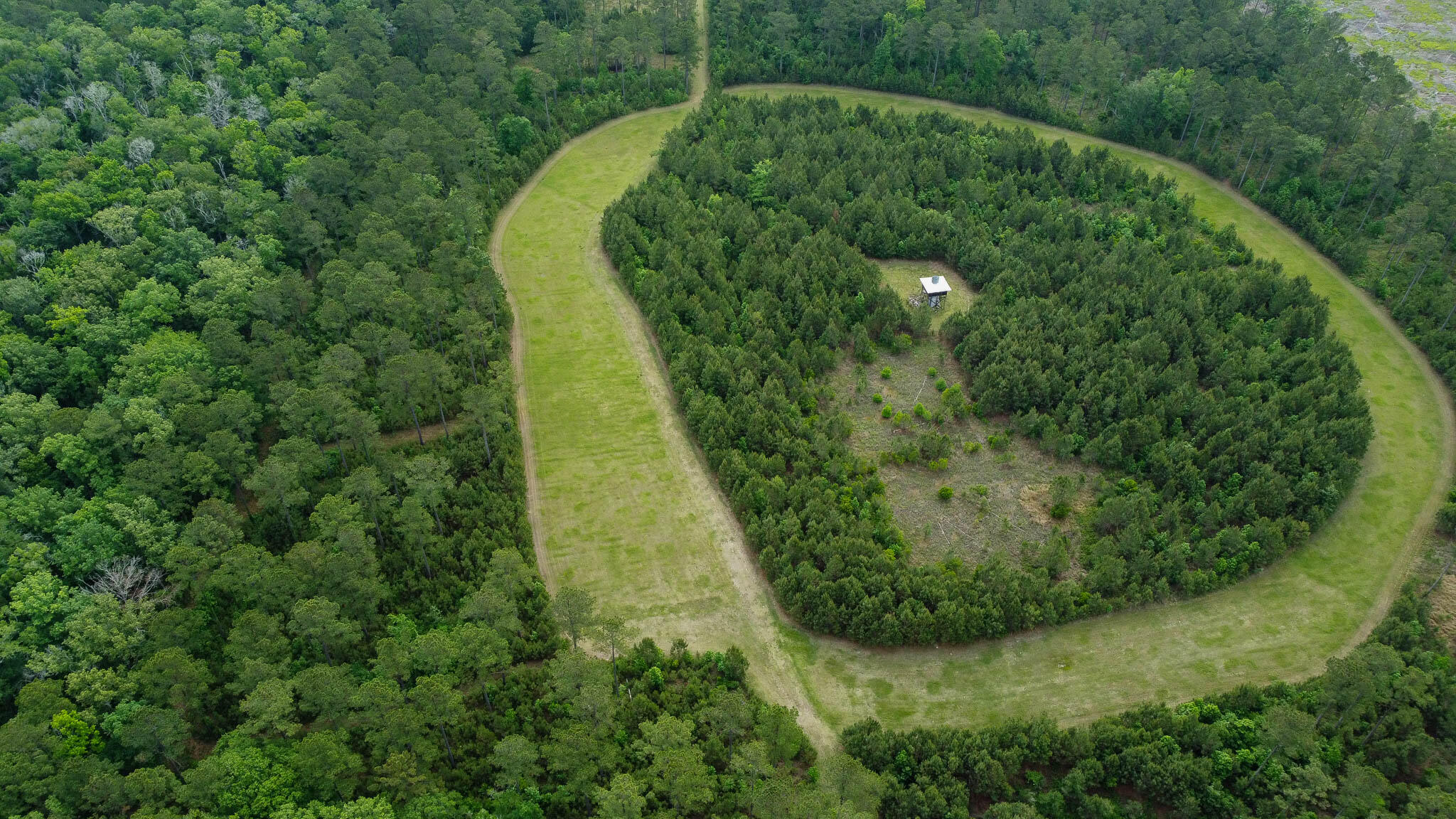1034 Tuten Road Jacksonboro, SC 29452 - Photo 55 of 77 Hayne HallSC Land for Sale-60