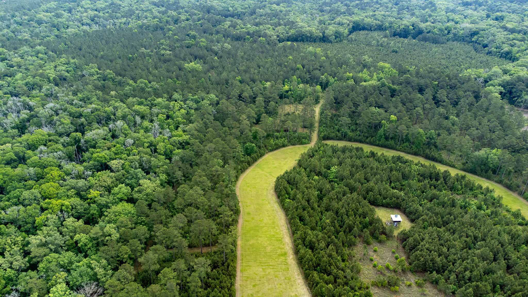 1034 Tuten Road Jacksonboro, SC 29452 - Photo 56 of 77 Hayne HallSC Land for Sale-61
