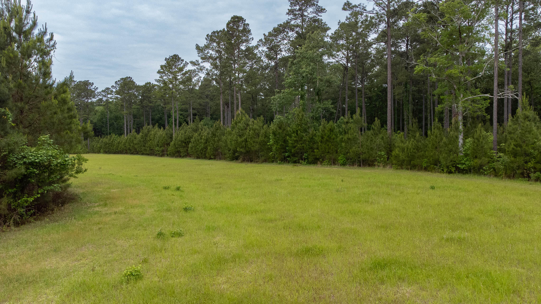 1034 Tuten Road Jacksonboro, SC 29452 - Photo 57 of 77 Hayne HallSC Land for Sale-65