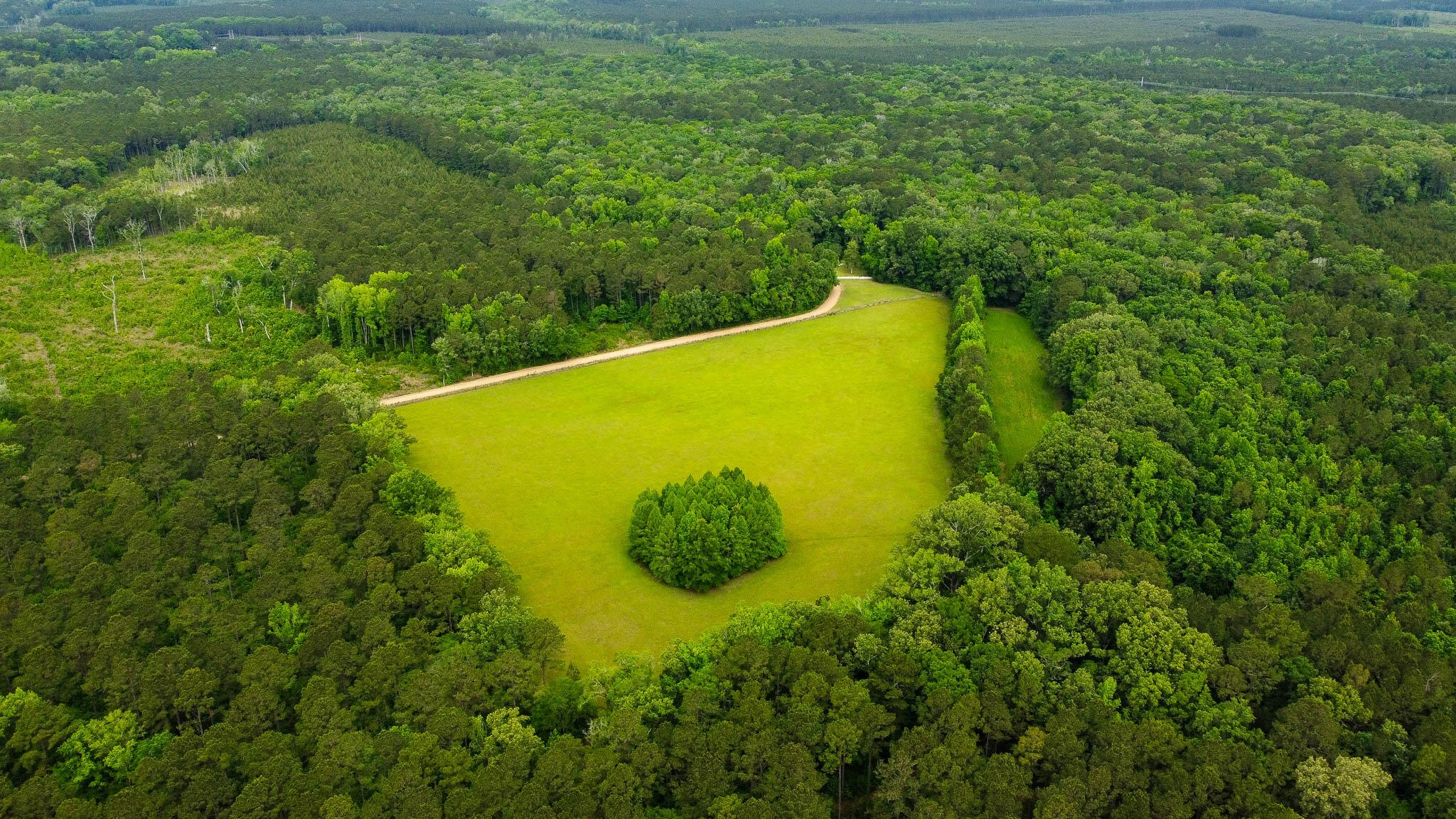 1034 Tuten Road Jacksonboro, SC 29452 - Photo 59 of 77 Hayne HallSC Land for Sale-64