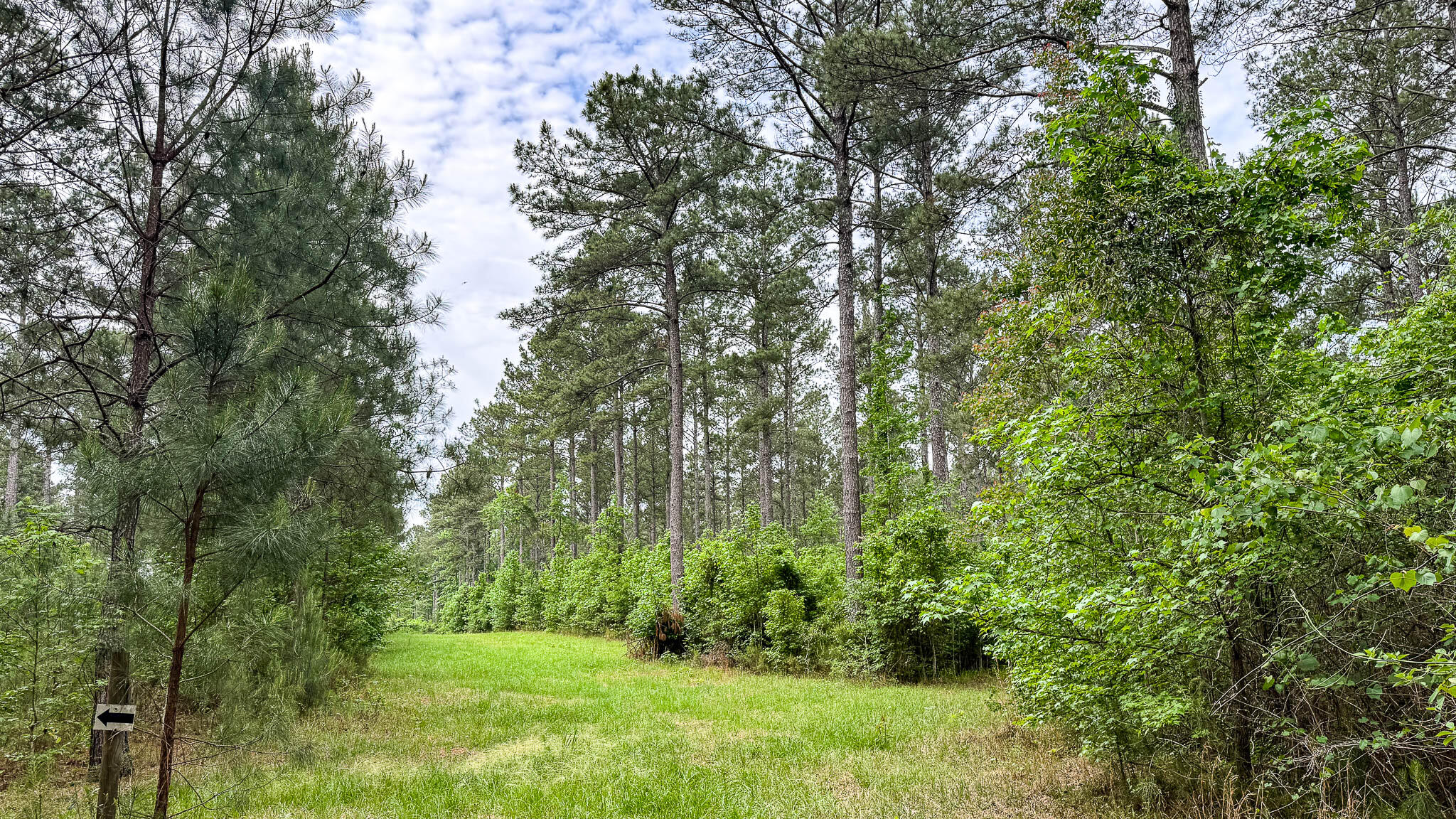 1034 Tuten Road Jacksonboro, SC 29452 - Photo 60 of 77 Hayne HallSC Land for Sale-73