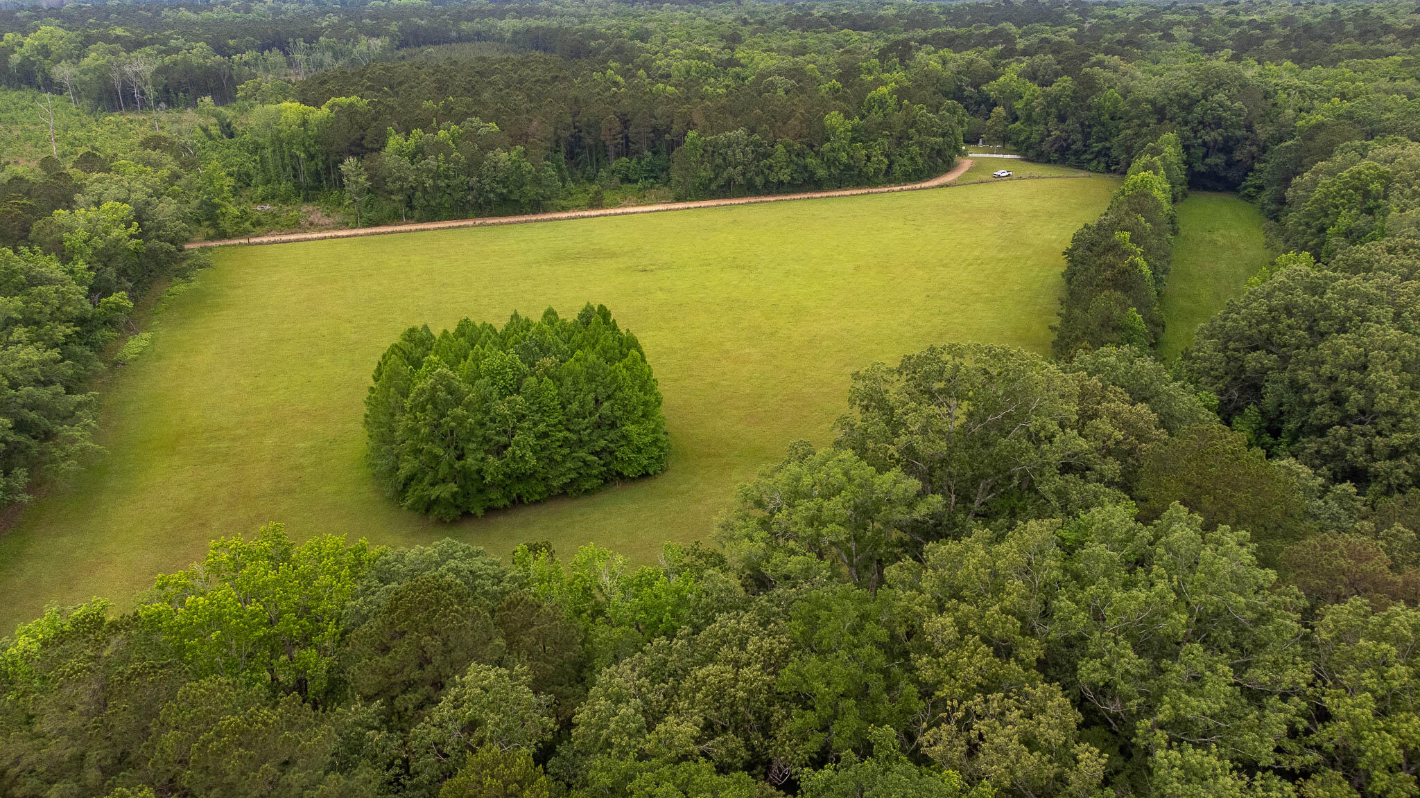 1034 Tuten Road Jacksonboro, SC 29452 - Photo 6 of 77 Hayne HallSC Land for Sale-07