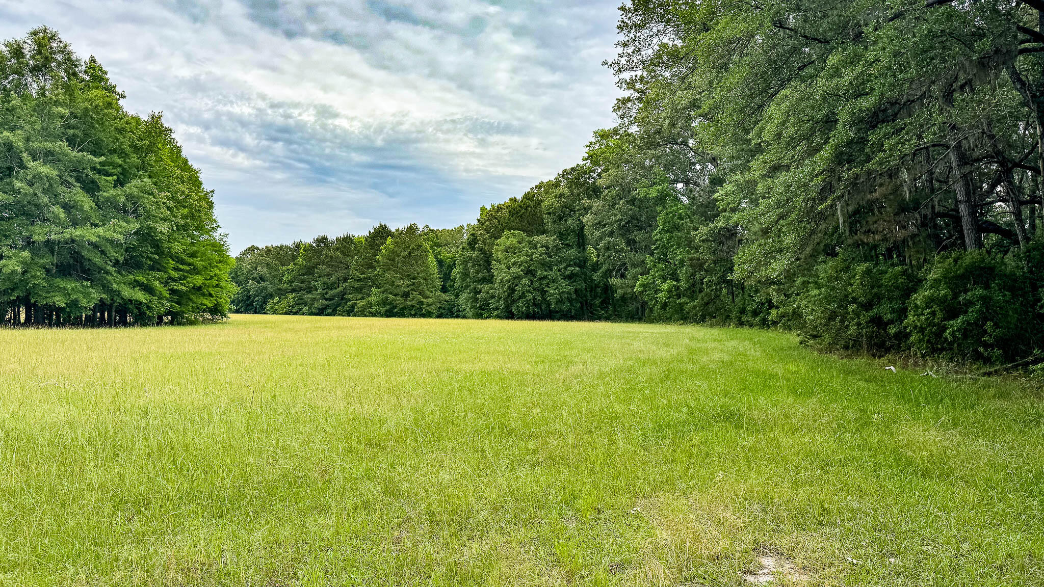 1034 Tuten Road Jacksonboro, SC 29452 - Photo 62 of 77 Hayne HallSC Land for Sale-75