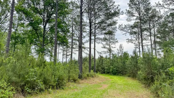 $3,575,000 | 1034 Tuten Road, Jacksonboro, SC 29452