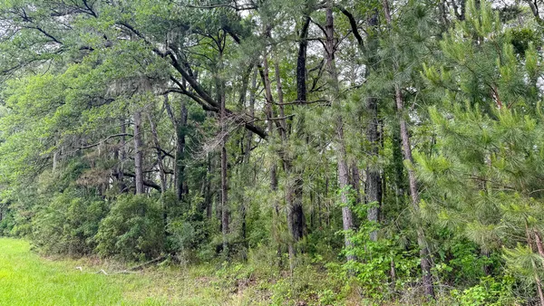 $3,575,000 | 1034 Tuten Road, Jacksonboro, SC 29452