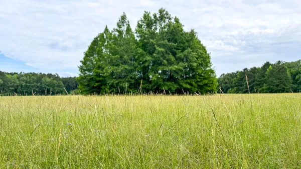 $3,575,000 | 1034 Tuten Road, Jacksonboro, SC 29452