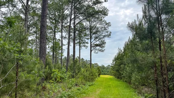 $3,575,000 | 1034 Tuten Road, Jacksonboro, SC 29452