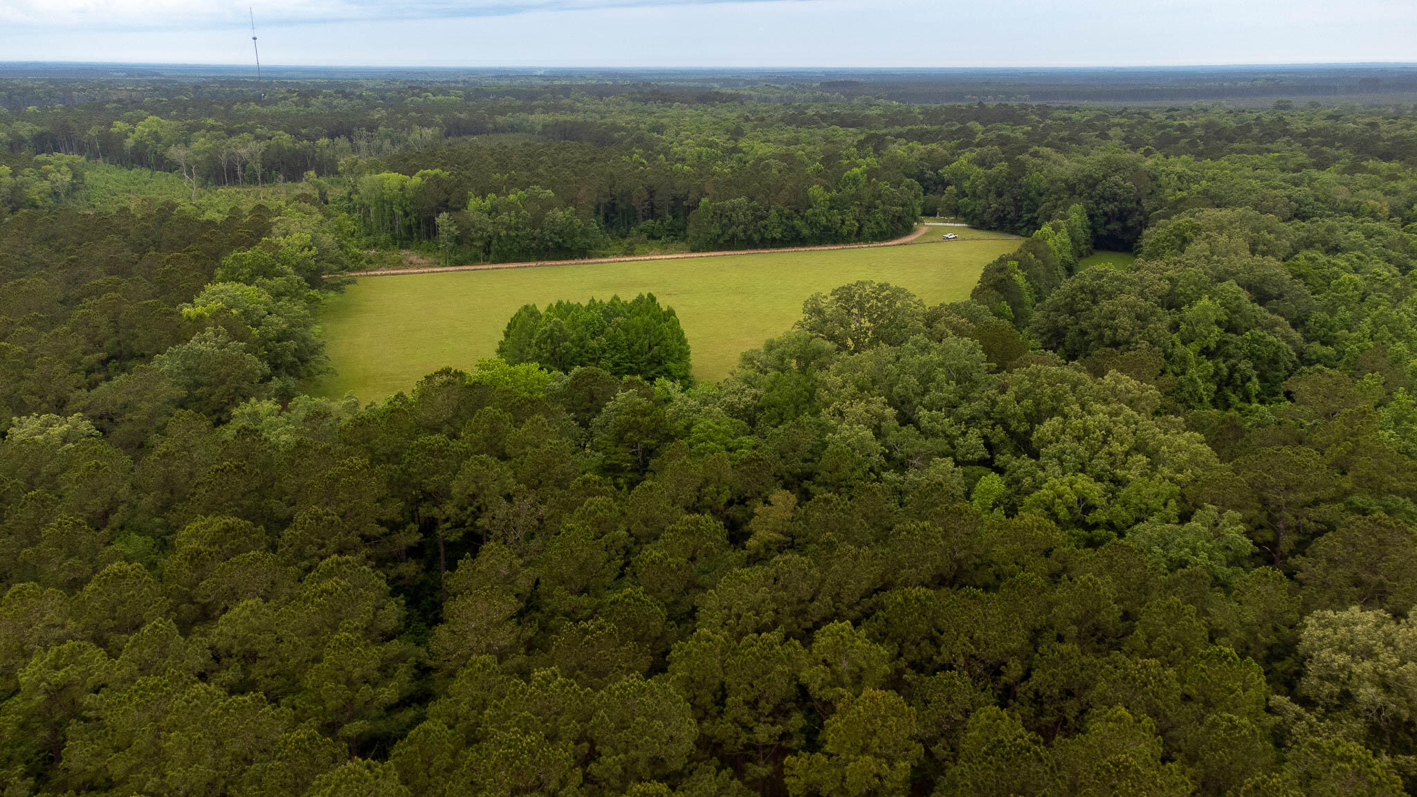 1034 Tuten Road Jacksonboro, SC 29452 - Photo 7 of 77 Hayne HallSC Land for Sale-06