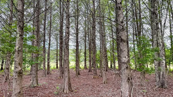 $3,575,000 | 1034 Tuten Road, Jacksonboro, SC 29452