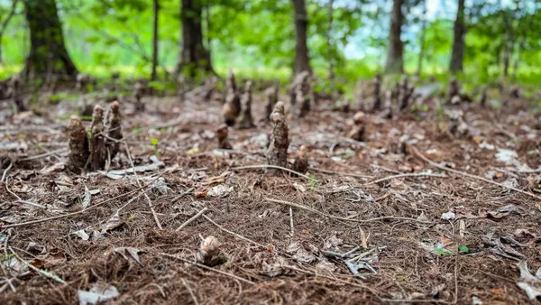 $3,575,000 | 1034 Tuten Road, Jacksonboro, SC 29452